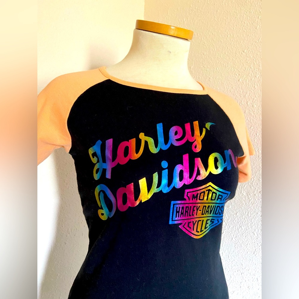 Harley-Davidson | Colorblock Tee With Rainbow Lettering - Picture 3 of 6